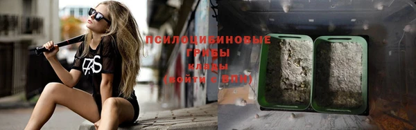 гашик Алексеевка